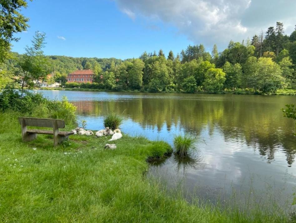 Hotel Und Restaurant Halbinsel Blieskastel Eksteriør bilde